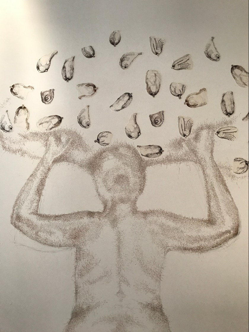 Wall Drawing Detail 4 Upper Body