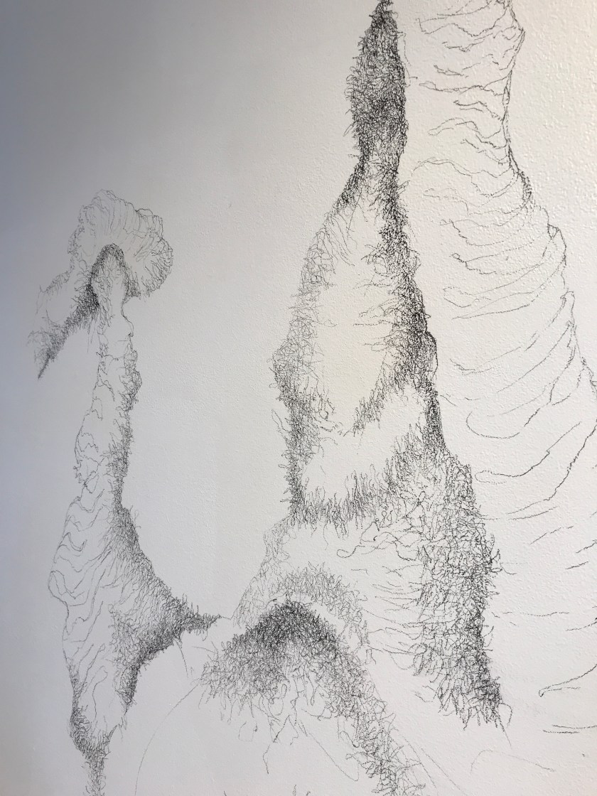 5Meza-DesPlas_Detail 1_Fitton Center