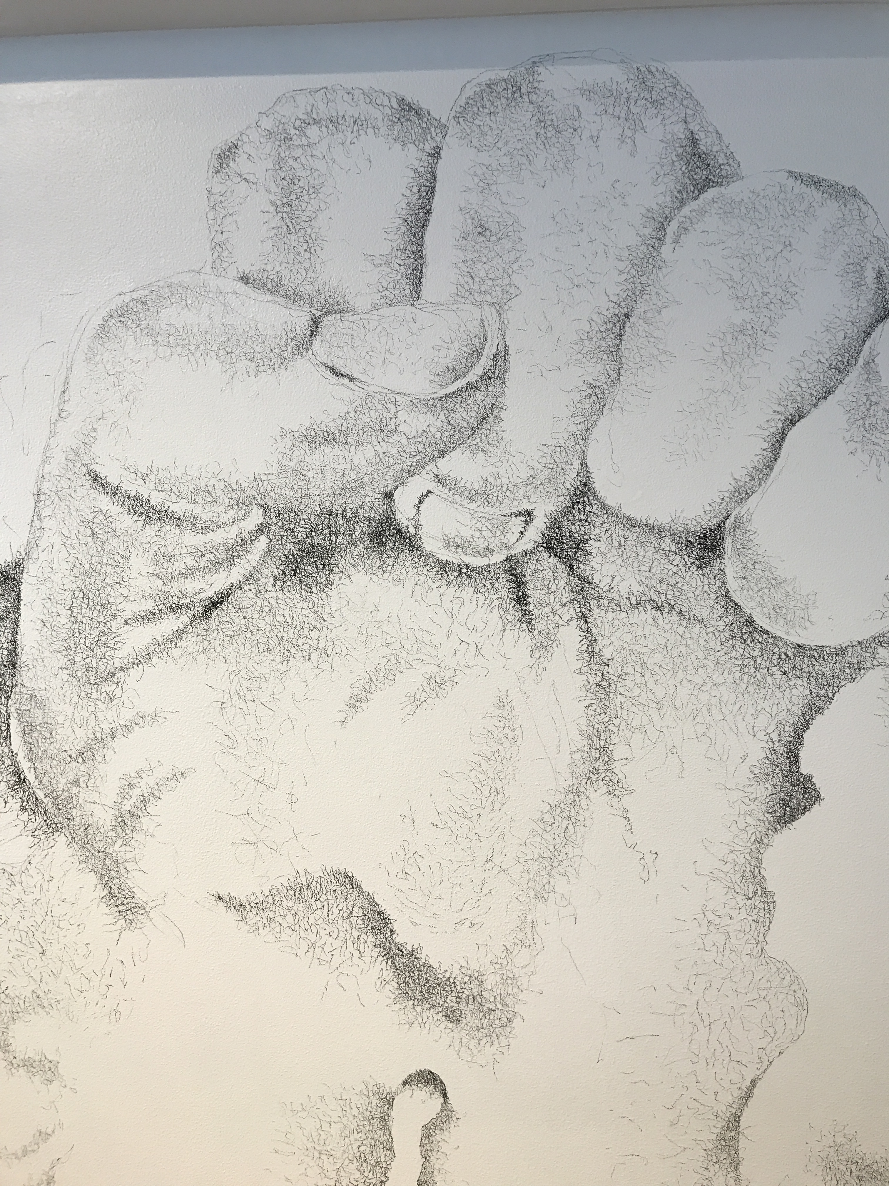 6Meza-DesPlas_Detail 2_Fitton Center